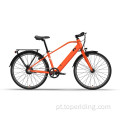 Bicicleta personalizada de 26 polegadas e